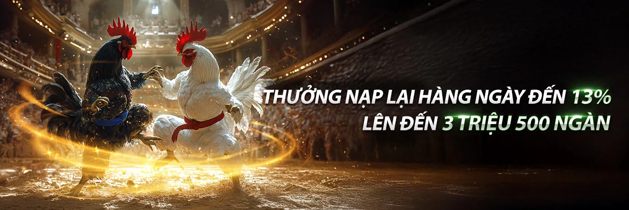 Đá gà trực tuyến x8 link vào với các trận đấu kịch tính